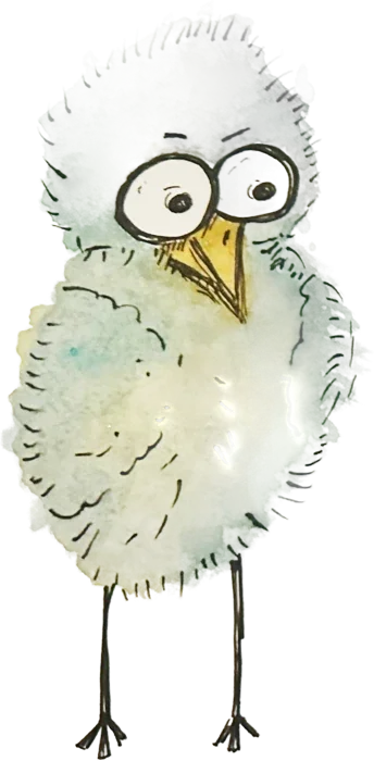 Watercolor bird illustration by Rebecca Foret