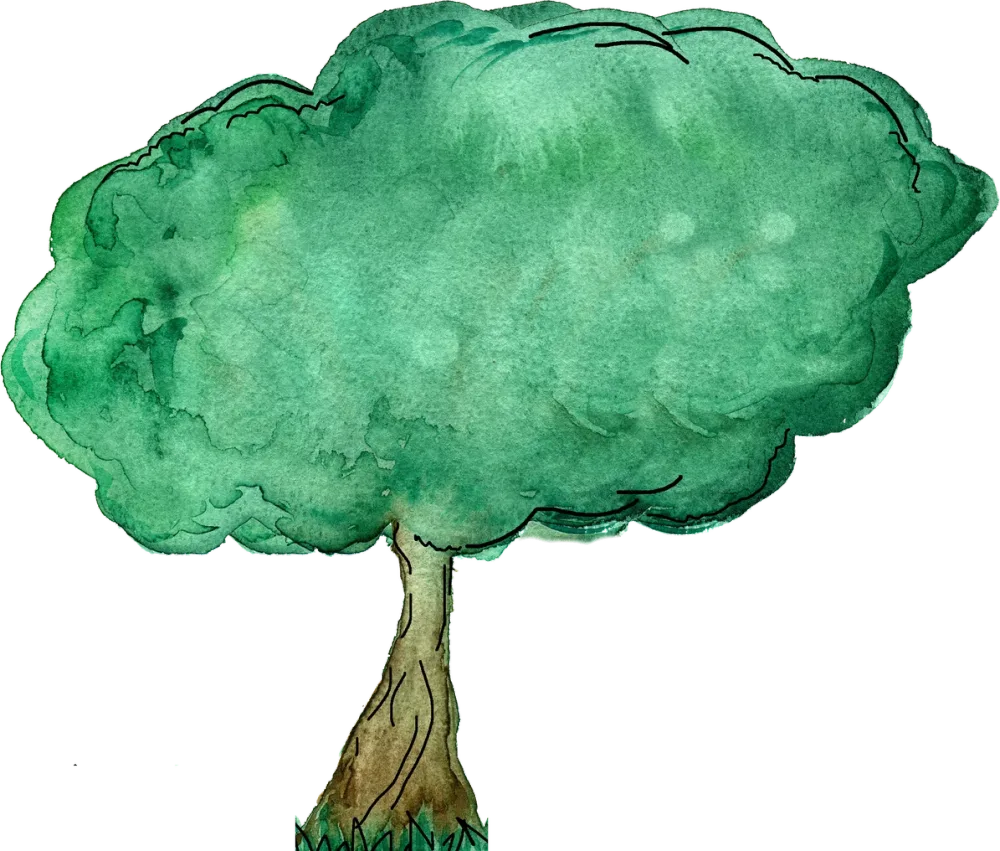 Watercolor tree by Rebecca Foret